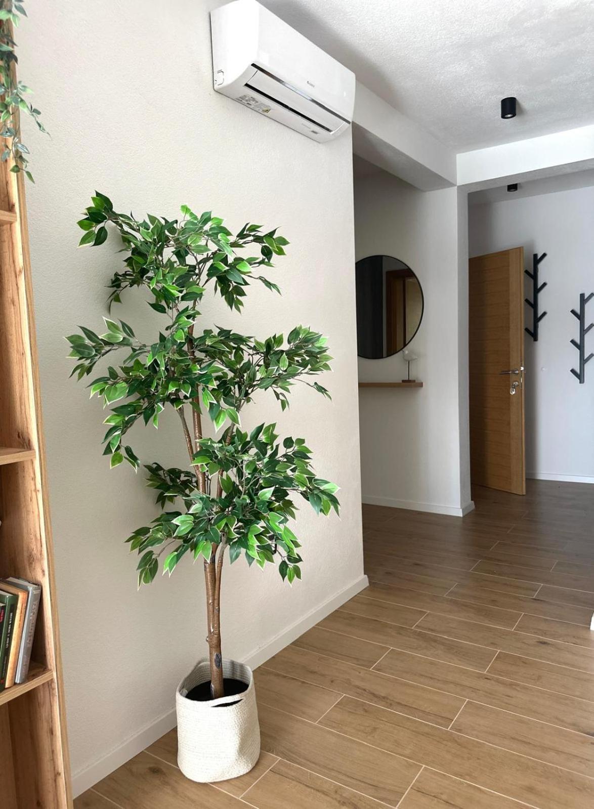 Apartmani Palada Poljica  Exterior foto